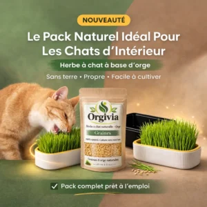 Herbe d’orge naturelle pour chats